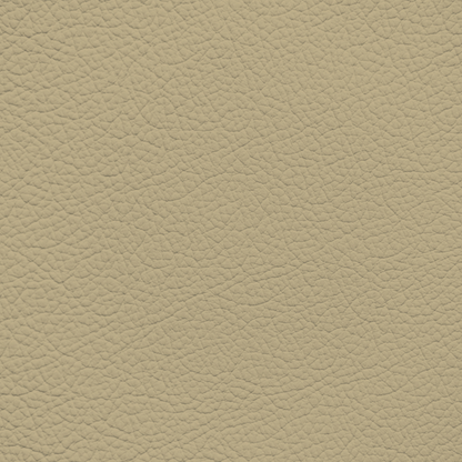 Jaguar Light Beige/Ivory Leather Dye