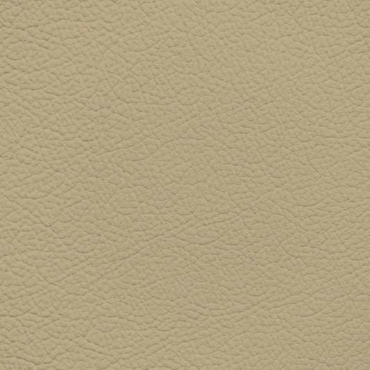 Jaguar Light Beige/Ivory Leather Dye