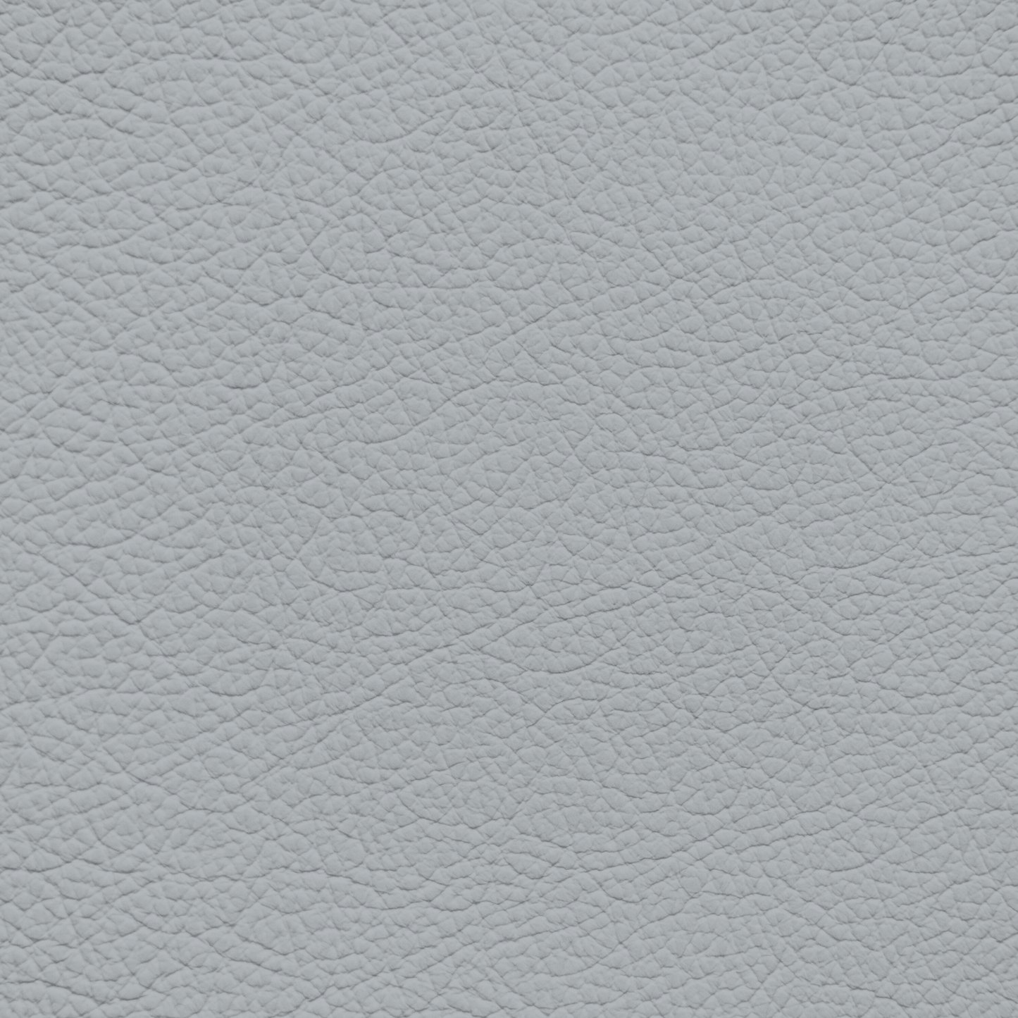 Jaguar Light Cloud Leather Dye