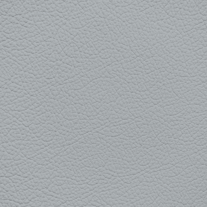 Jaguar Light Cloud Leather Dye