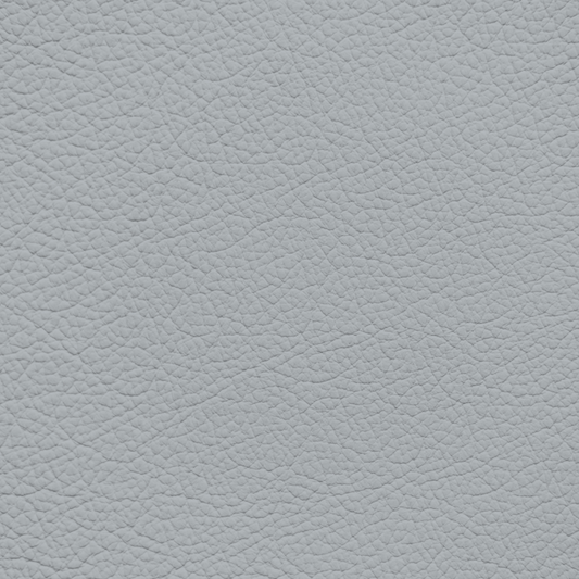 Jaguar Light Cloud Leather Dye