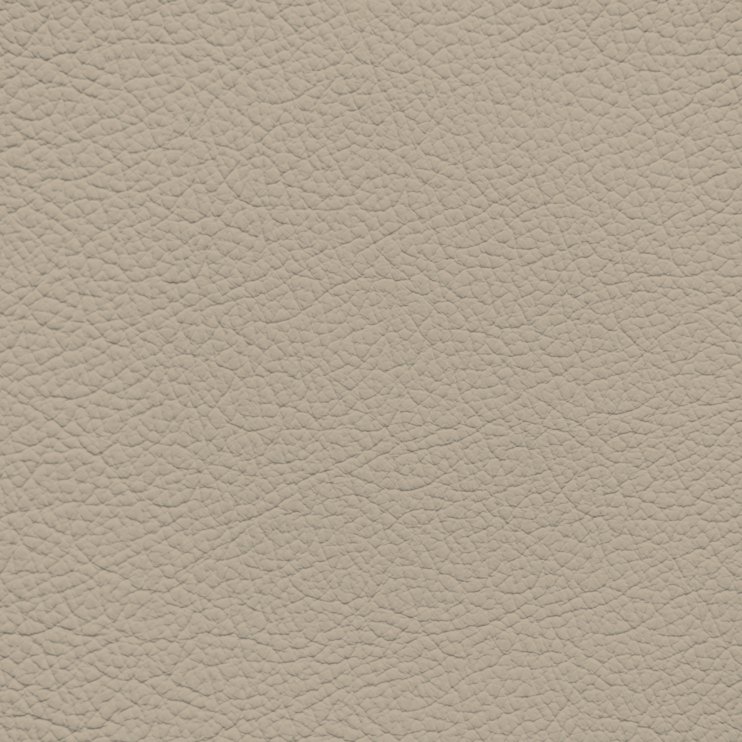 Jaguar Light Doeskin Leather Dye