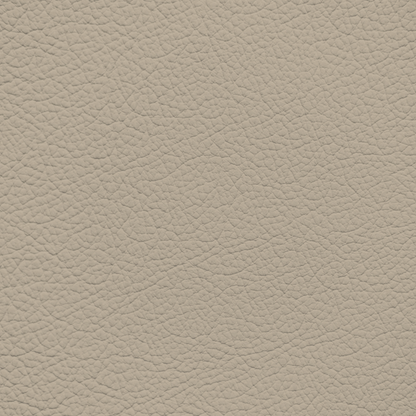 Jaguar Light Doeskin Leather Dye