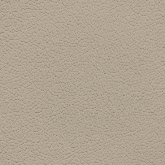 Jaguar Light Doeskin Leather Dye