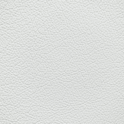 Ford/Lincoln/Mercury Light Dove Leather Dye