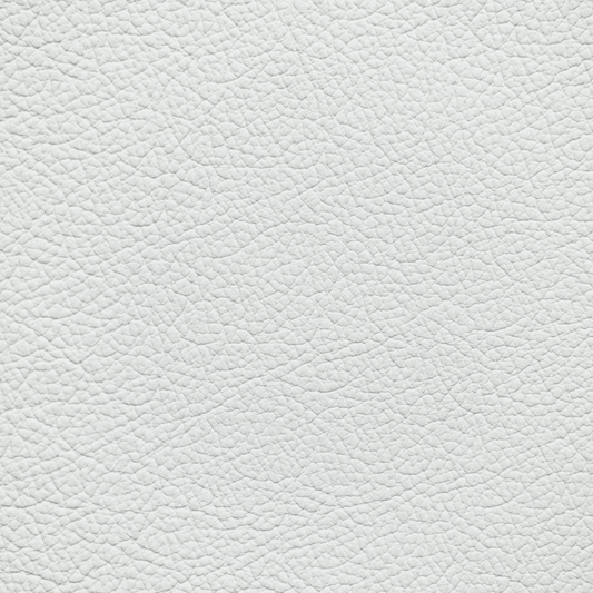 Ford/Lincoln/Mercury Light Dove Leather Dye