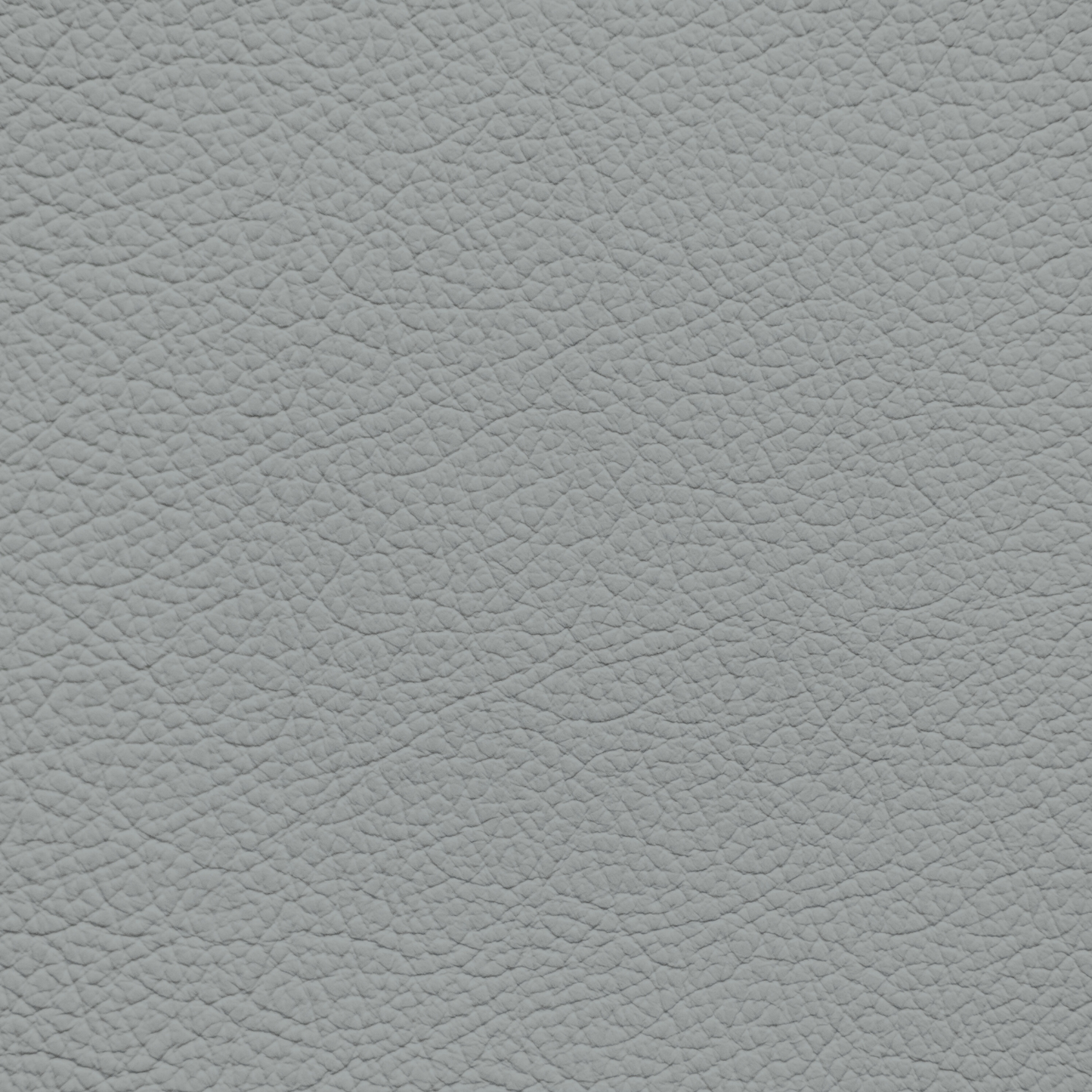 GM Light Galvanized Leather Dye