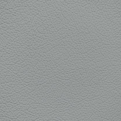 GM Light Galvanized Leather Dye