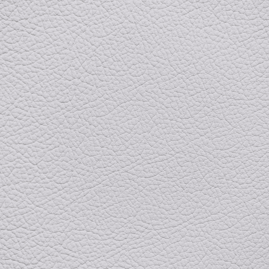 Porsche Light Grey Leather Dye