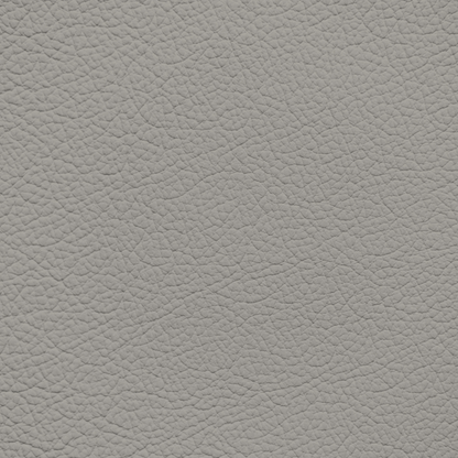 Chrysler/Dodge/Jeep/Plymouth Light Greystone Leather Dye