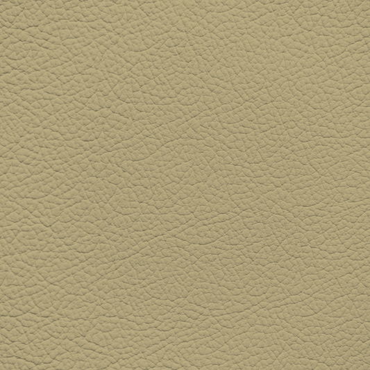Hyundai Light Ivory Leather Dye