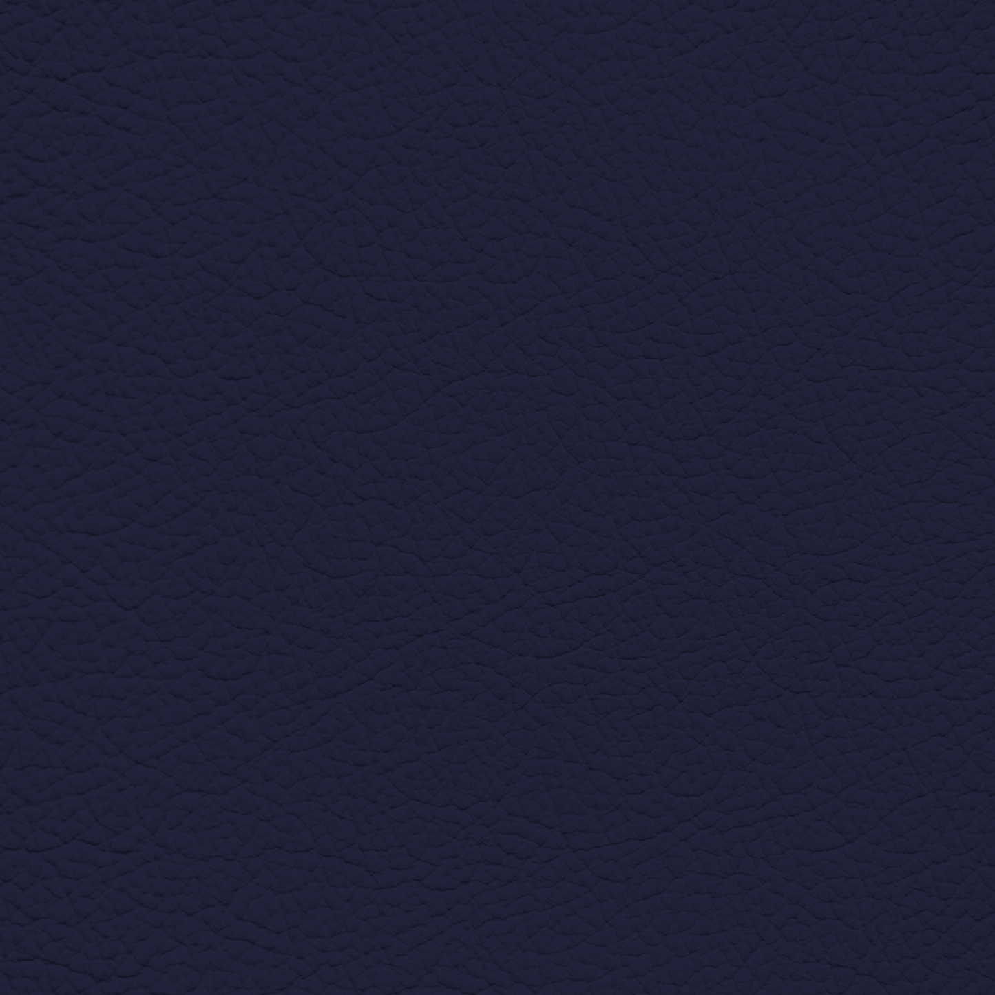 Jaguar Light Navy Leather Dye