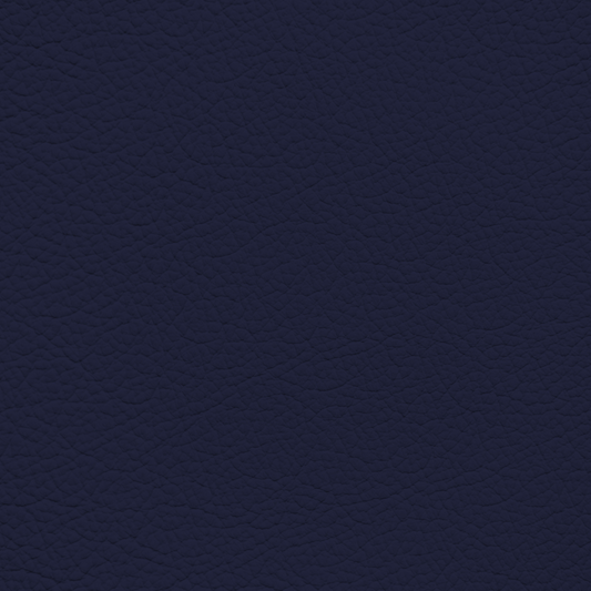 Jaguar Light Navy Leather Dye