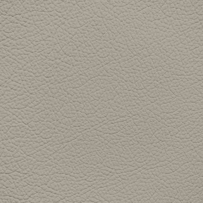 Chrysler/Dodge/Jeep/Plymouth Light Neutral Leather Dye