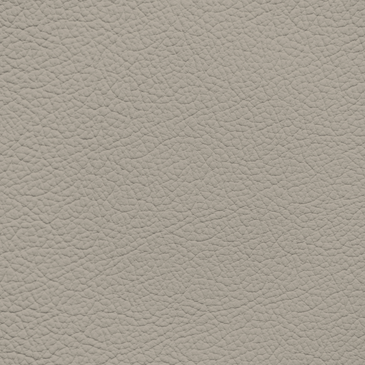 Chrysler/Dodge/Jeep/Plymouth Light Neutral Leather Dye