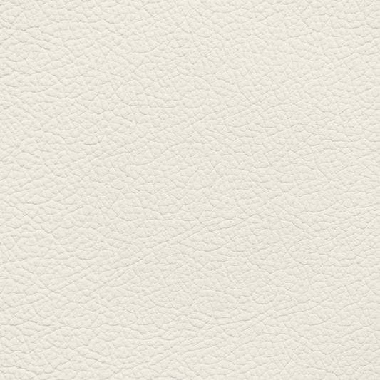 Jaguar Light Oyster Leather Dye