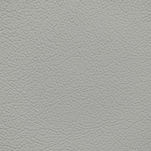 Chrysler/Dodge/Jeep/Plymouth Light Quartz Leather Dye