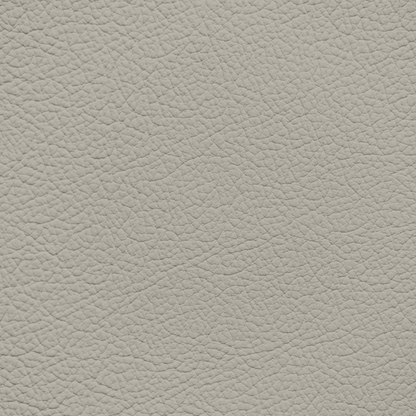 Chrysler/Dodge/Jeep/Plymouth Light Taupe Leather Dye