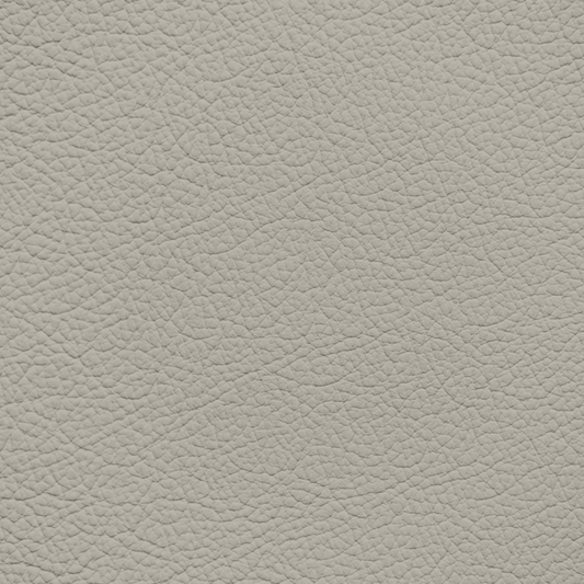 Chrysler/Dodge/Jeep/Plymouth Light Taupe Leather Dye