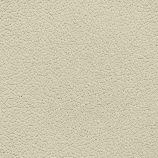 Porsche Linen Leather Dye