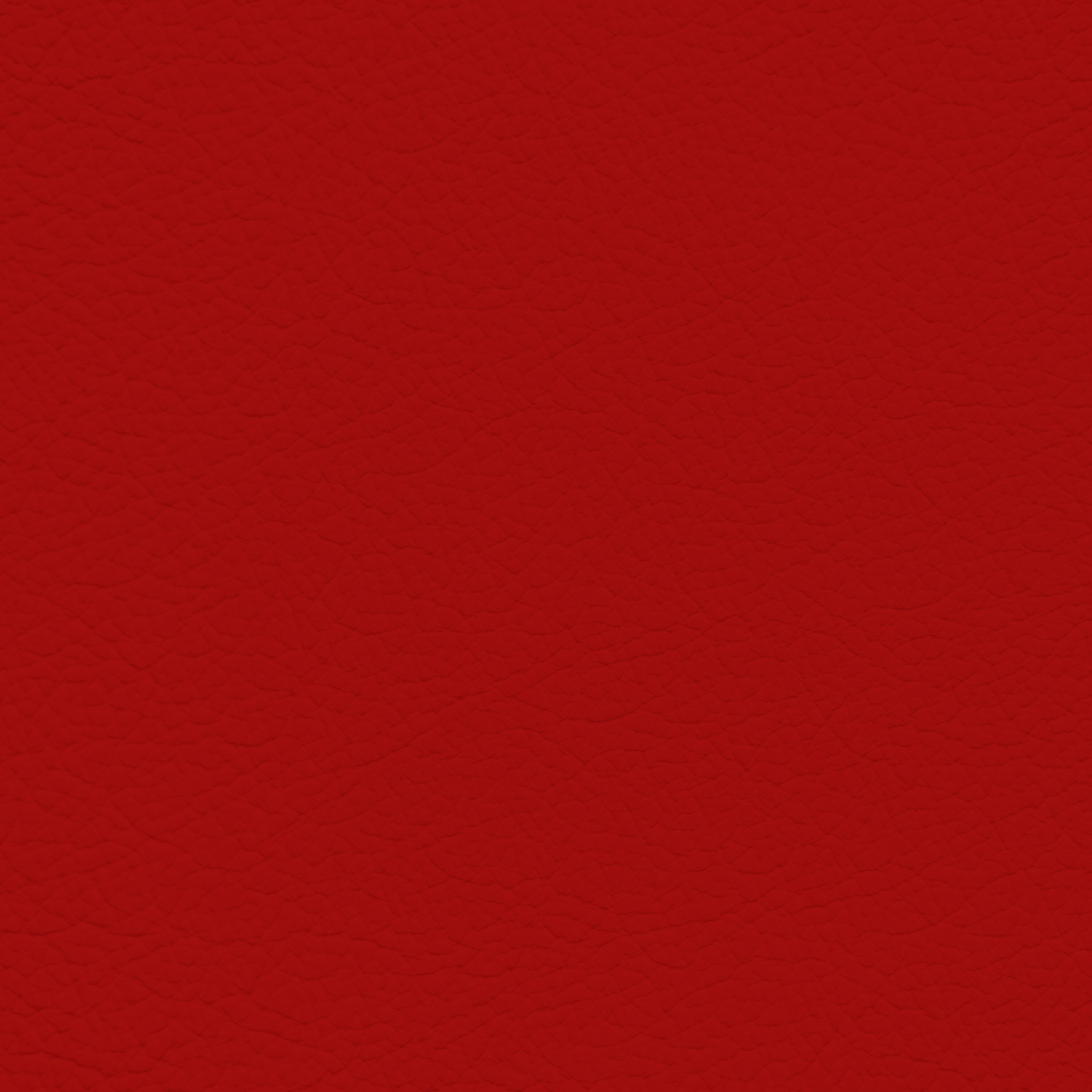 Porsche Lobster Leather Dye
