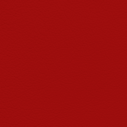 Porsche Lobster Leather Dye