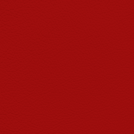 Porsche Lobster Leather Dye