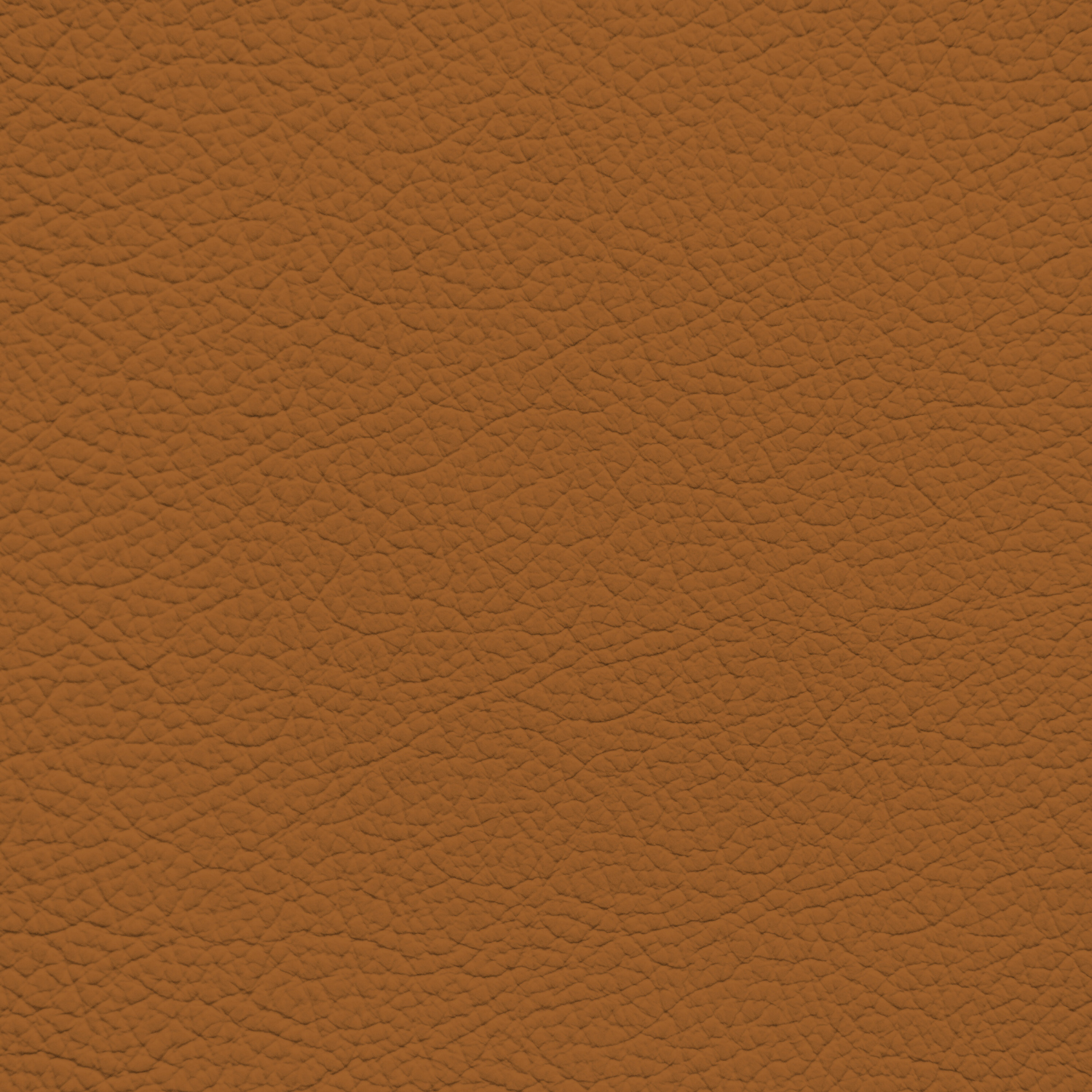 Jaguar London Tan Leather Dye – Leather World Technologies
