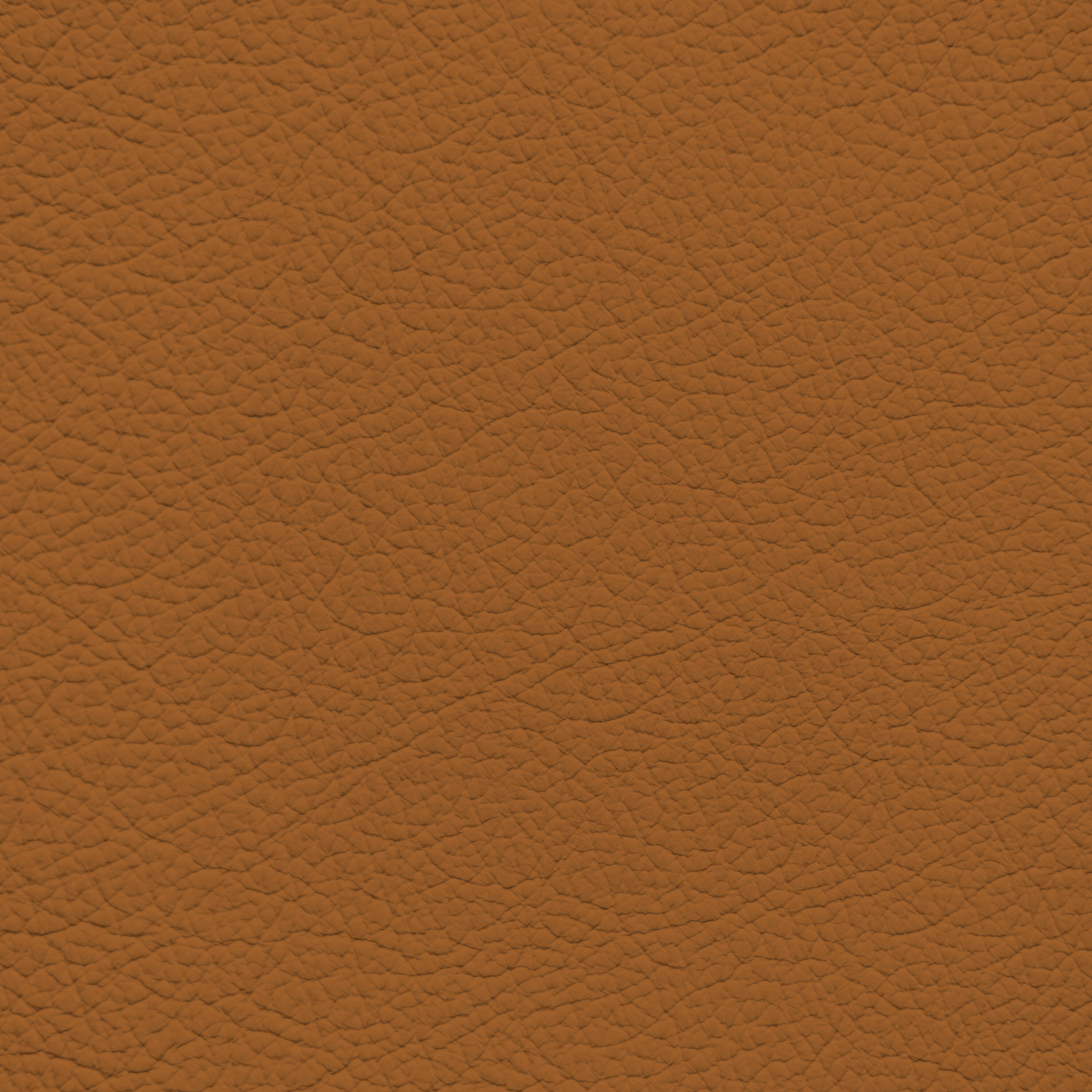 Jaguar London Tan Leather Dye