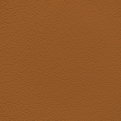 Jaguar London Tan Leather Dye