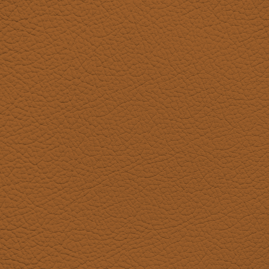 Jaguar London Tan Leather Dye