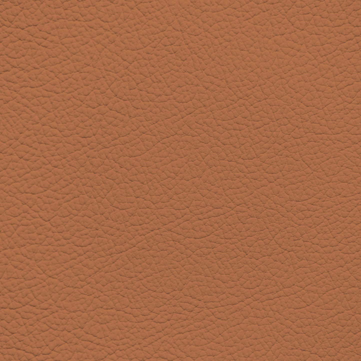 Ford/Lincoln/Mercury Luggage Leather Dye