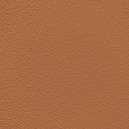 Ford/Lincoln/Mercury Luggage Leather Dye