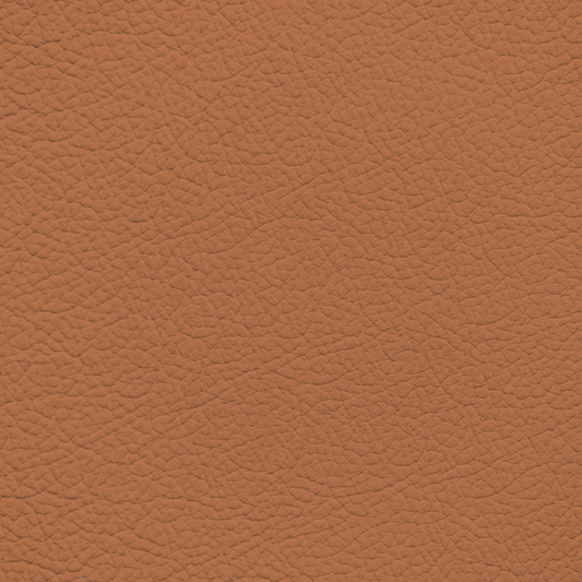 Ford/Lincoln/Mercury Luggage Leather Dye
