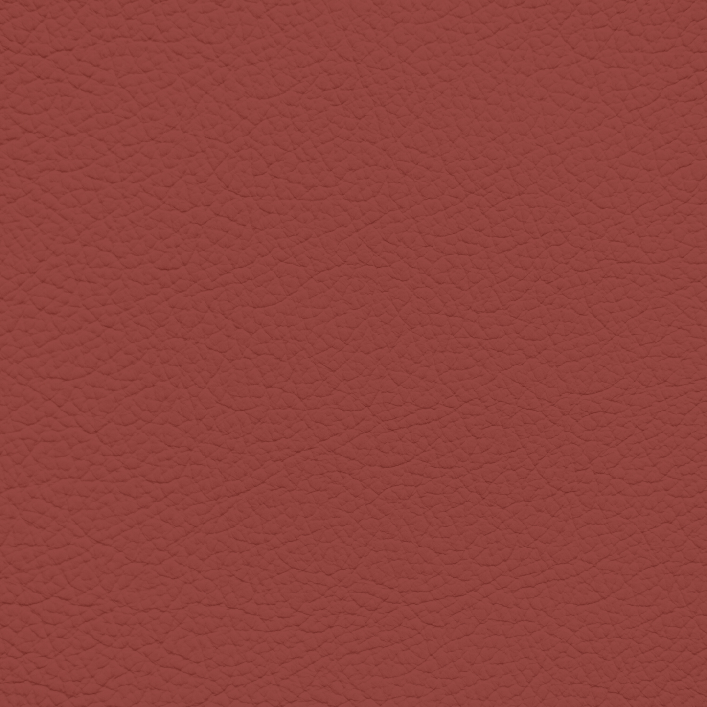 Mercedes Berry Red Leather Dye