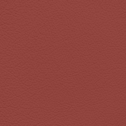 Mercedes Berry Red Leather Dye