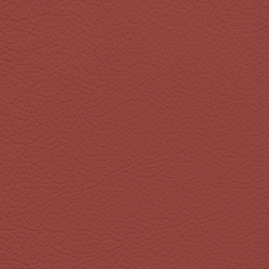 Mercedes Berry Red Leather Dye
