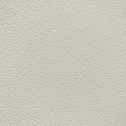 Toyota Macadamia Leather Dye