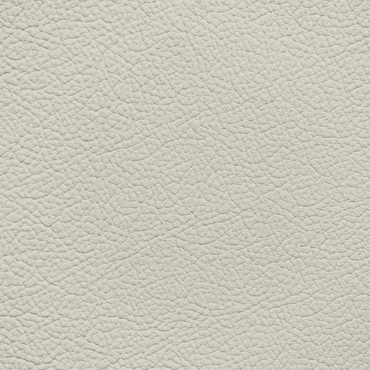 Toyota Macadamia Leather Dye