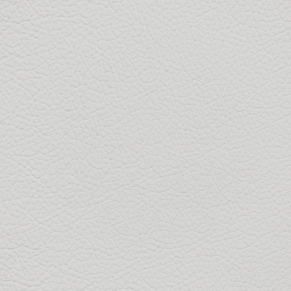 Mercedes Macchiato Leather Dye