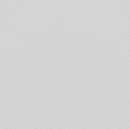 Mercedes Macchiato Leather Dye