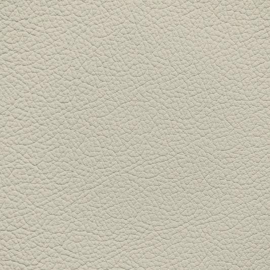 Mercedes Macchiato Leather Dye