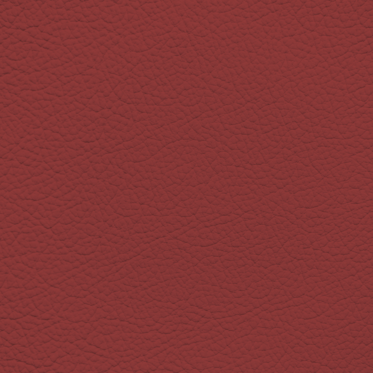 Mercedes Magma Red Leather Dye