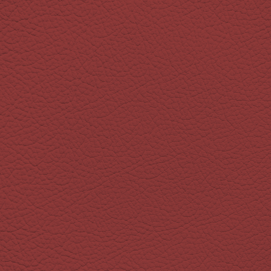 Mercedes Magma Red Leather Dye