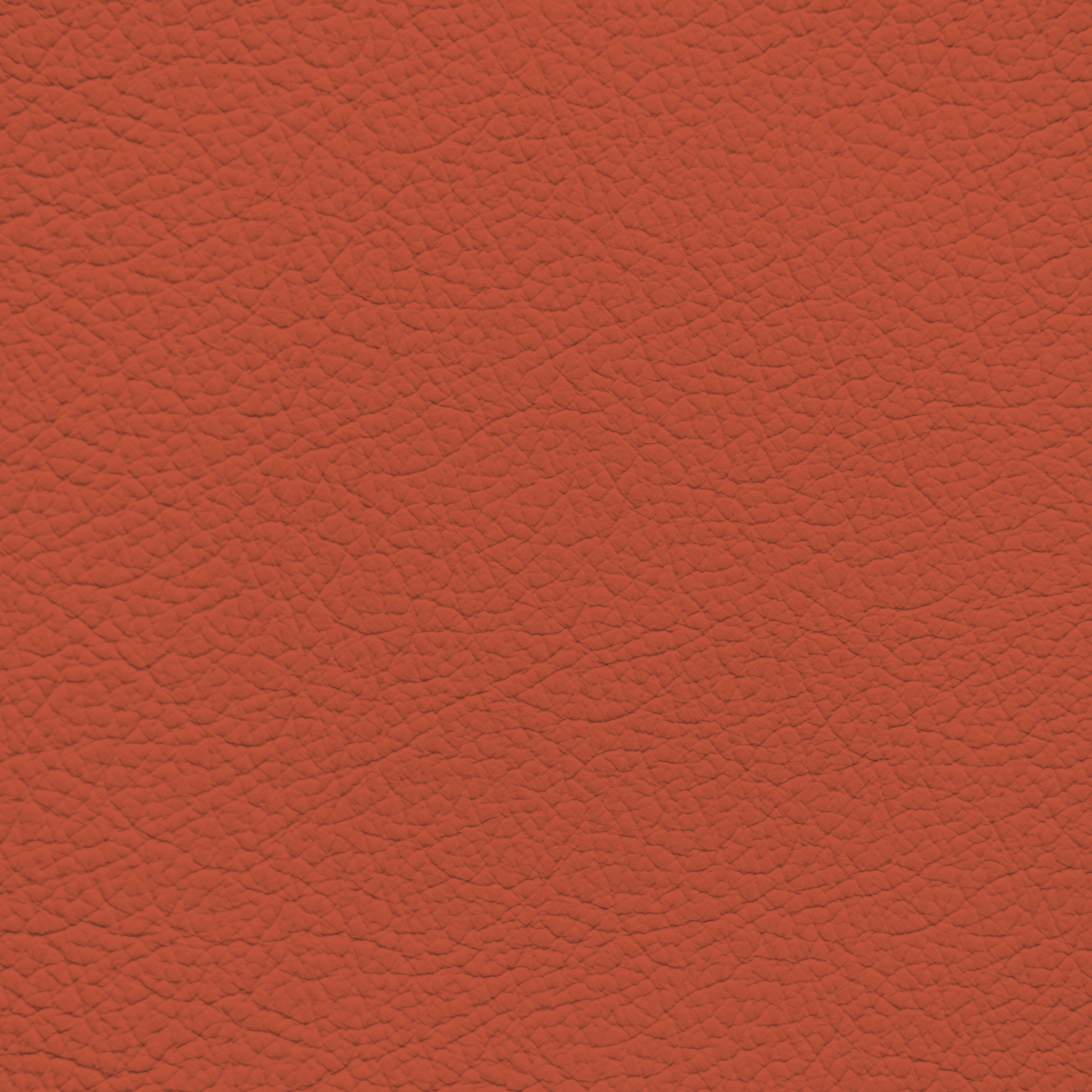 BMW Magma Red Leather Dye
