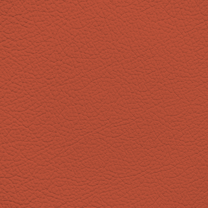 BMW Magma Red Leather Dye