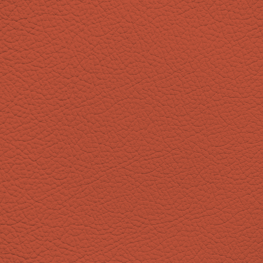BMW Magma Red Leather Dye