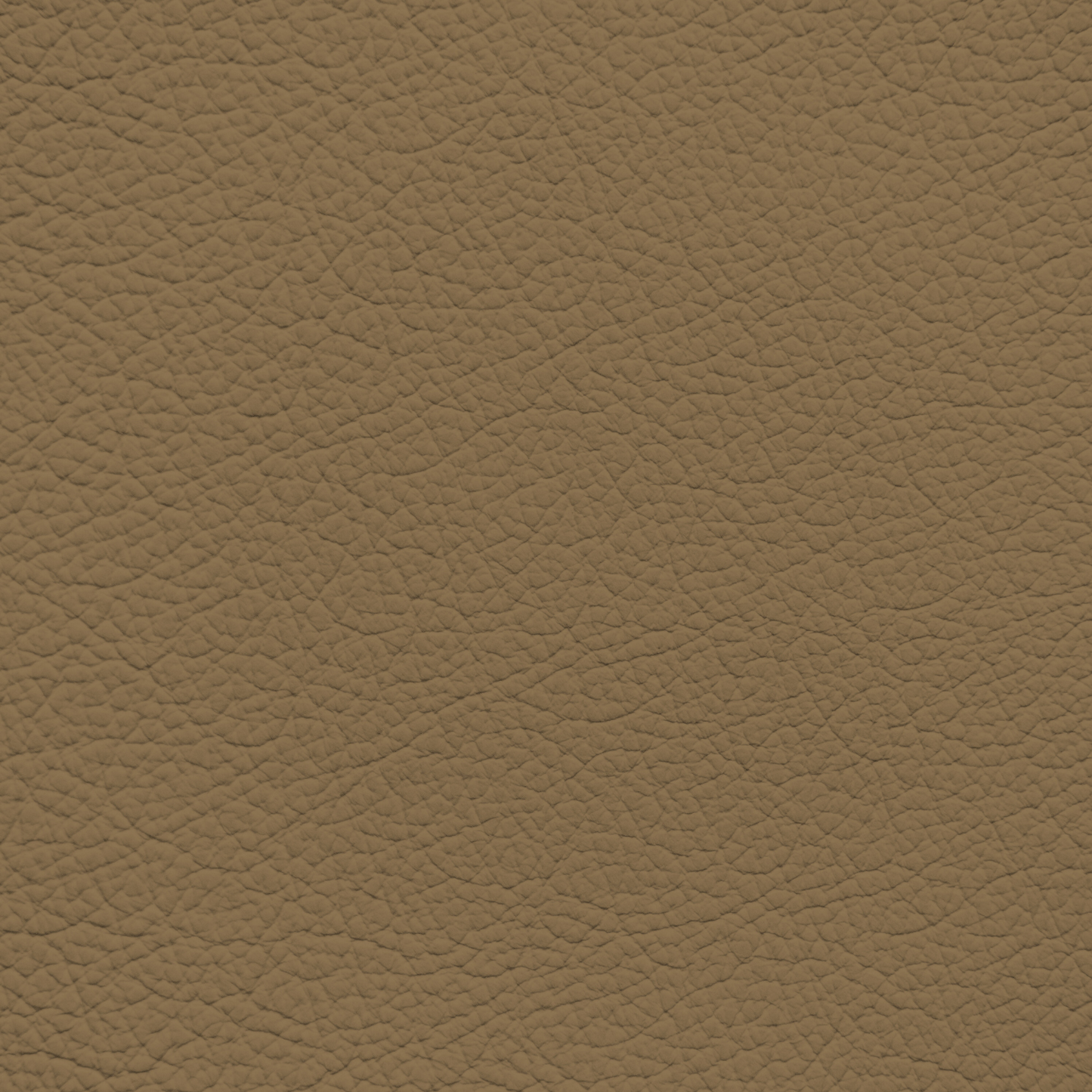 BMW Magna Brown Leather Dye