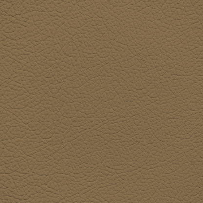 BMW Magna Brown Leather Dye