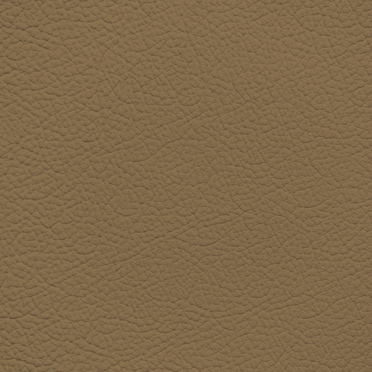 BMW Magna Brown Leather Dye